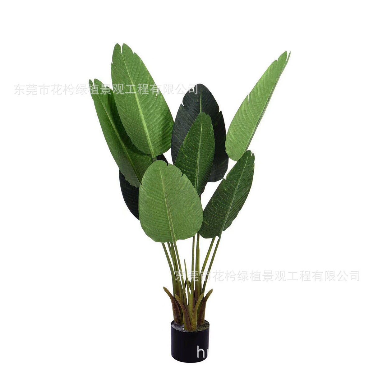北欧家居办公室大型仿真旅人蕉盆栽摆件商场大厅装饰盆景落地绿植,淘宝优惠券,粉丝福利购,淘宝优惠卷
