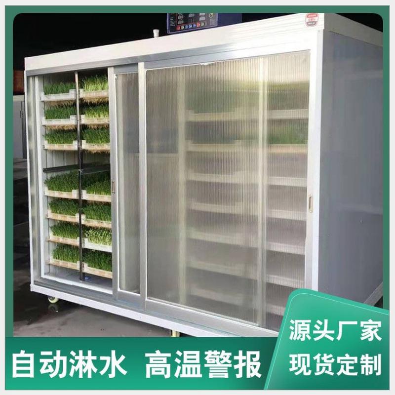 Hot selling Guangxi fully automatic bean sprout machine manufacturer large bean sprout box type soybean sprout machine mung bean sprout machine manufacturer