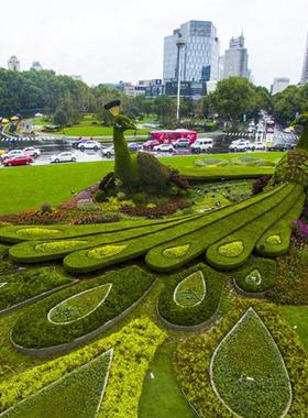 仿真园林景观设计大型户外绿植绿雕植物造型雕塑创意动物造型雕塑