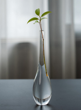 日式玻璃花瓶透明禅意中式插花花器小口细口水养水培摆件梅瓶新款