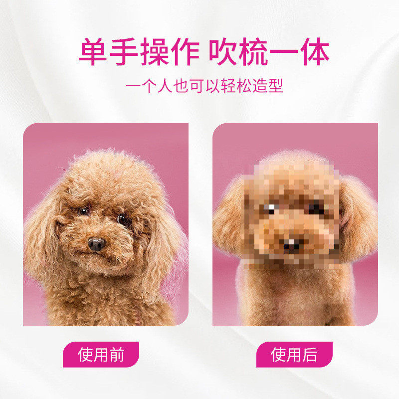 宠物吹风机金毛犬宠物店美发狗狗烘干拉毛吹风梳静音不伤毛吹水机,淘宝优惠券,粉丝福利购,淘宝优惠卷