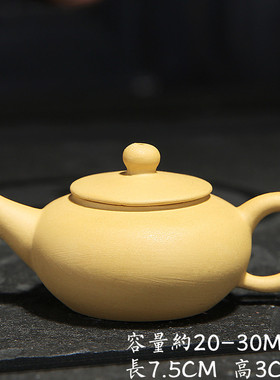 km@迷你紫砂壶袖珍茶壶小指尖壶迷你茶具套装小摆件茶宠摆件