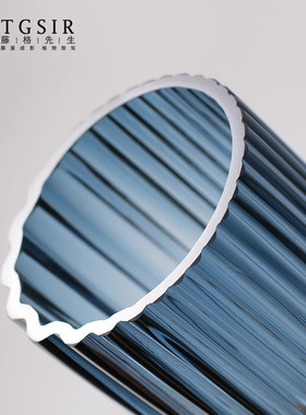 简约蓝色竖纹直筒玻璃花瓶器客厅透明水养百合绿植插花摆件感