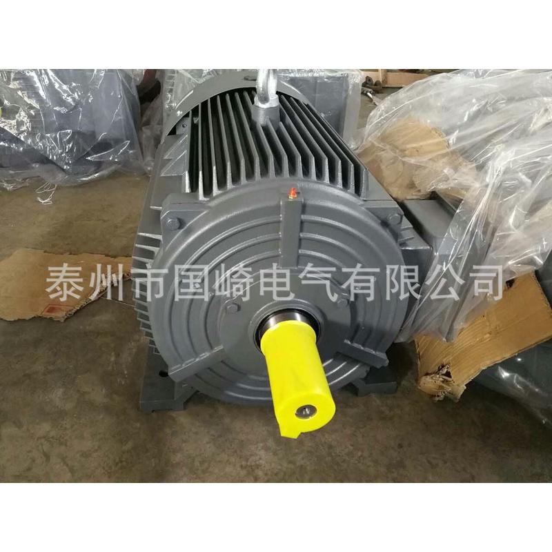 西门子电机1LE0001-1DB43-15KW-380V正品西门子二级能效变频电机 - 图1
