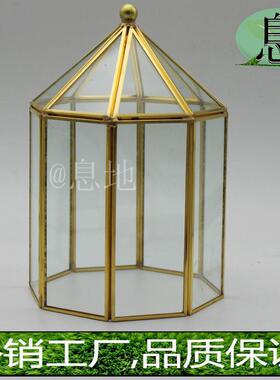 18072d包邮铜金几何火树银花玻璃灯罩多肉植物无底批发花房玻璃