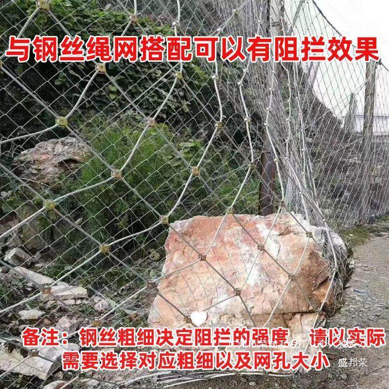 镀锌防护狗不锈护栏养殖网牛羊猪铁丝网围盛邦荣,淘宝优惠券,粉丝福利购,淘宝优惠卷