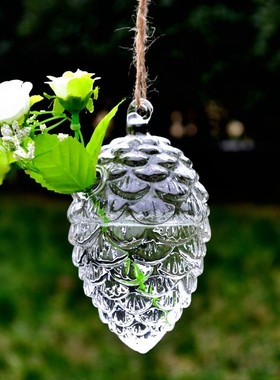 创意悬挂垂吊透明水培玻璃工艺品松果花瓶蜂鸟喂食器插花装饰花器