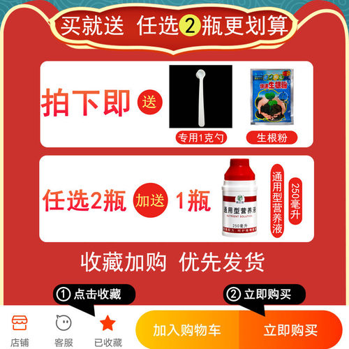 松树肥料五针松黑松大阪松黄山松罗汉松盆景复合肥有机肥肥料 - 图0