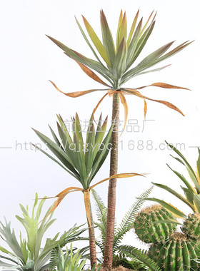 热带绿植景观室内展厅仿真植物盆栽巴西铁龙舌兰仙人球盆栽造景