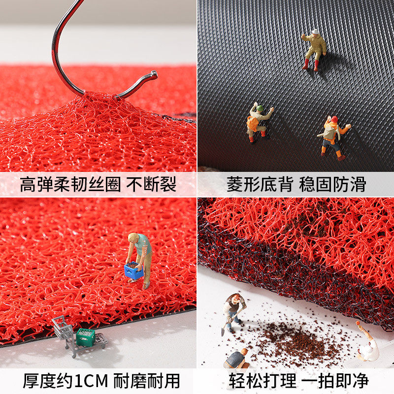 地垫入户门垫进门大门口免地毯用丝圈防滑脚垫室内玄关喜庆打理,淘宝优惠券,粉丝福利购,淘宝优惠卷