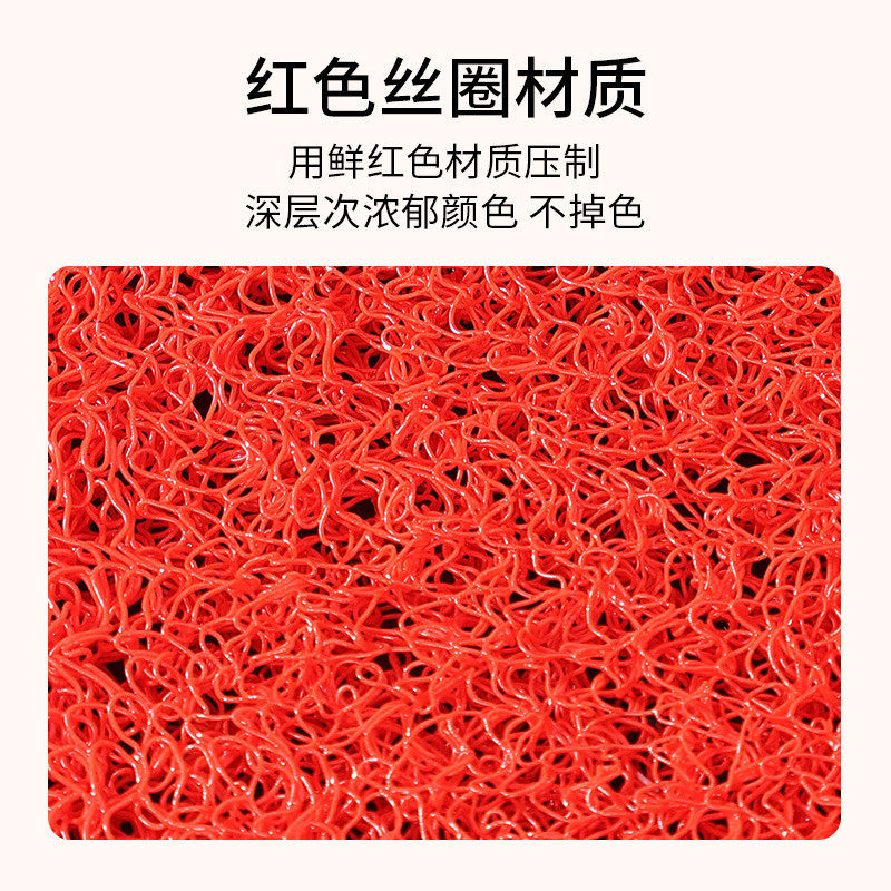 地垫入户门垫进门大门口免地毯用丝圈防滑脚垫室内玄关喜庆打理,淘宝优惠券,粉丝福利购,淘宝优惠卷