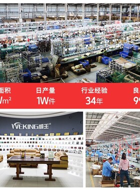 智能迷你多功能电炖杯办公室便携式玻璃水壶自动断电养生电热杯