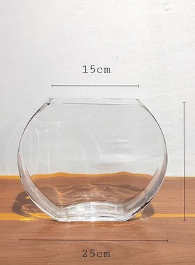 现代简约透明扁缸水培绿萝插花器皿家居样板房客厅桌面花瓶摆件