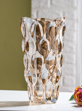 花瓶摆件客厅插花透明小玻璃瓶ins风马醉木宽口水养网红大富贵竹