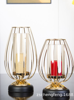 居家装饰铁艺花瓶电镀金色水培植物绿植培养摆件办公桌面花瓶容器