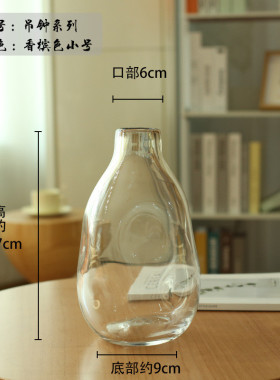 简约透明玻璃摆件吊钟创意马醉木水培插花客厅摆件装饰花器北欧