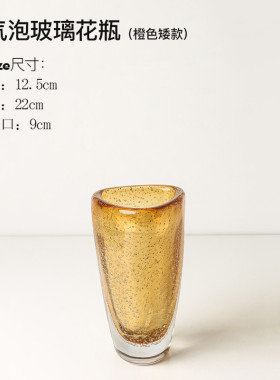 创意轻奢玻璃花瓶透明客厅摆件干花餐桌样板间艺术水培花瓶装饰品