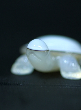 海洋玉髓乌龟雕件小摆件礼品挂件