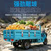 Zongshen electric tricycle battery car 1.8m express vehicle freight agricultural battery stall pull cargo load Zunlong