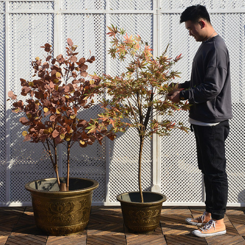 特大号塑料花盆圆形超大加厚园艺大型庭院绿植果铁树龙缸园艺阳台 - 图0