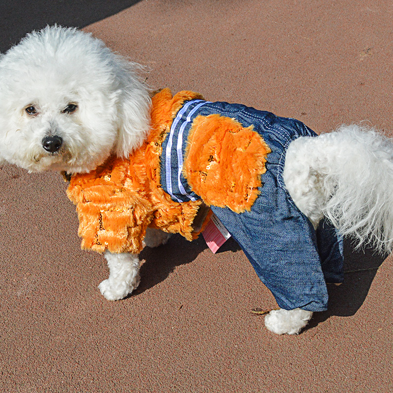 狗狗衣服泰迪衣服宠物衣服小狗衣服秋冬比熊博美犬宠物变身装包邮-图2