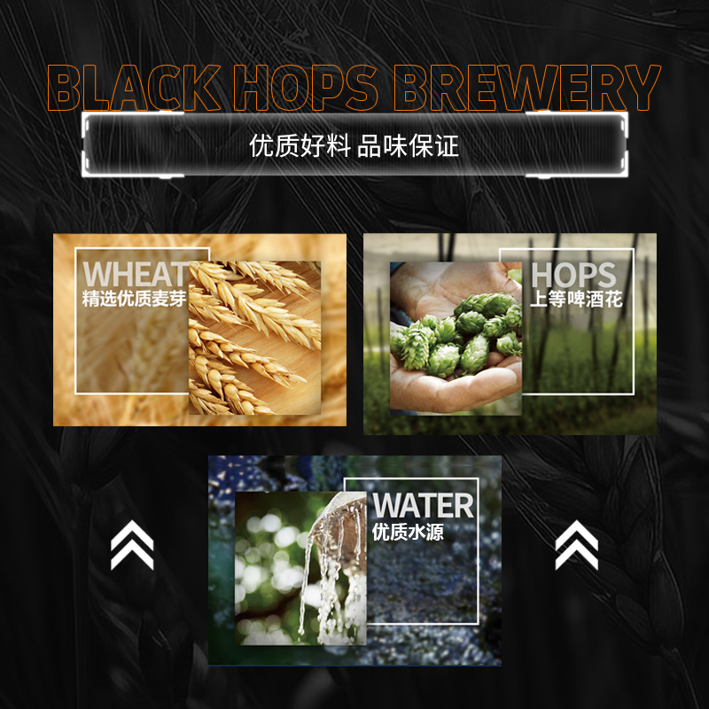 BLACK HOPS 澳大利亚进口浑浊IPA精酿啤酒6%voL 375ml/罐 - 图2