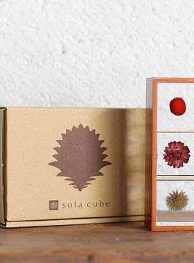 sola木箱个入毕业礼物家居装饰
