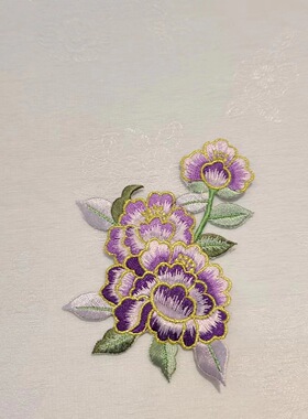 绣花补片韩服立体胸花舞蹈练功服