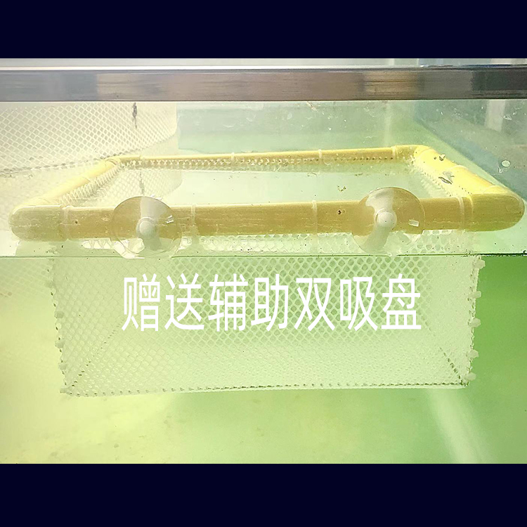 水族鱼缸孵化器繁殖笼斑马鱼自浮式手工玛丽孔雀鱼卵胎生鱼隔离网-图2