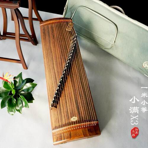 小满玉面小嫣然视频同款小古筝弦昇初学者考级古筝琴专业演奏古筝 - 图0