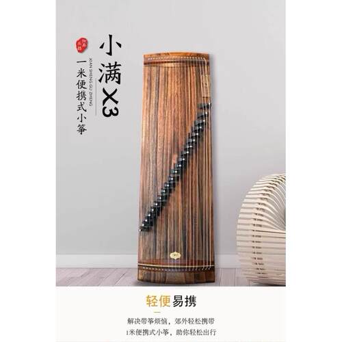 小满玉面小嫣然视频同款小古筝弦昇初学者考级古筝琴专业演奏古筝 - 图2