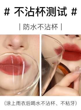 GOVO绢感柔雾不沾杯口红V04赤陶红棕色丝绒质地持久