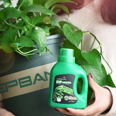 绿萝营养液植物叶面花肥土培水培吊兰肥料室内盆栽绿箩专用液体肥 虎窝淘