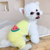 Осенний арбуз Камизол, домашняя собака маленькая собака кошка Тедди Бомей Сноу Наре Барлайн весна и осень