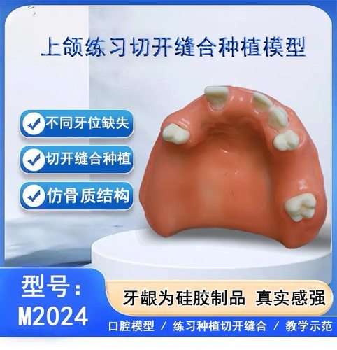 口腔种植练习模型 打孔栽钉种植实操 上颌窦提升下颌骨种植练习 - 图0