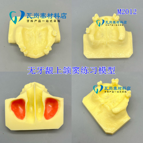 口腔种植练习模型 打孔栽钉种植实操 上颌窦提升下颌骨种植练习 - 图2