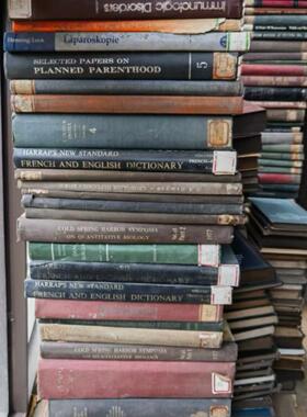 装饰书精装外文书古旧书橱窗复古书创意摆件摄影道具书老旧古董书