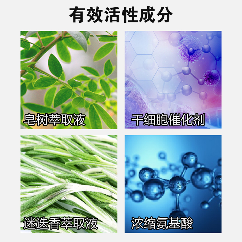 西班牙进口capilo卡彼控油减脱祛屑止痒洗发水蓬松柔顺护理头皮洁 - 图2
