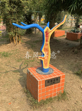 春风得意校园文化建设动物标本
