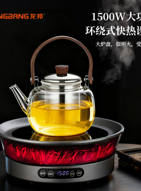 LONGBANG龙邦围炉煮茶器电茶炉养生壶电陶炉泡茶器星火仿真火焰炉
