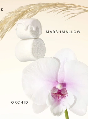 美代Rare Beauty固体香膏Rare Fragrance Layering 香味增强霜
