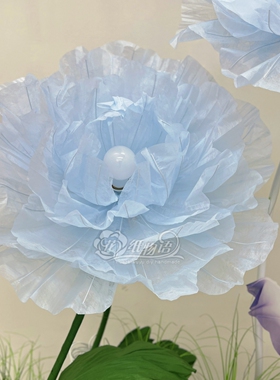 大型芍药牡丹花花瓣成品
