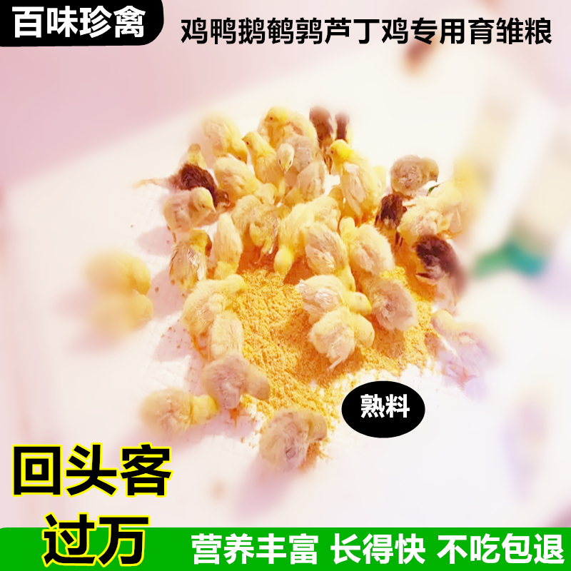 小鸡开口饲料芦丁鸡专用小鸭鹅山鸡苗幼雏鸡元宝鸡草山鸡促销包邮 - 图0