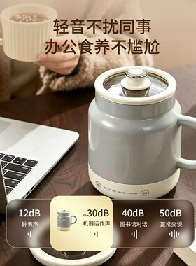 日本进口电炖杯多功能全自动煮茶