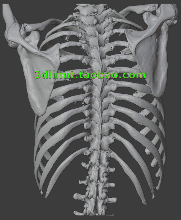 3D打印扫描DICOM dcm CT医学数据转换3D模型stl obj gltf dae fbx - 图2