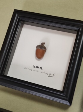 天然橡果植物标本定制