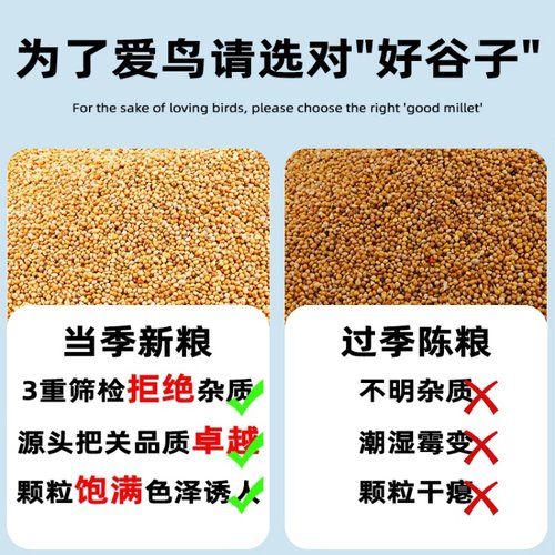 鹦鹉鸟粮饲料新黄谷子带壳小米虎皮鹦鹉饲料玄凤牡丹专用食物粮食 - 图2