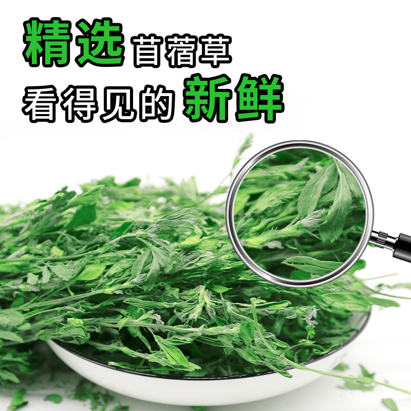 苜蓿草兔子粮草紫花干草幼兔食用龙猫豚鼠吃的粮食苜宿草兔粮饲料-图0