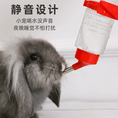 Дом кролика водяной свиньи питьевая вода пьет золотой медведь для ухода за водой.