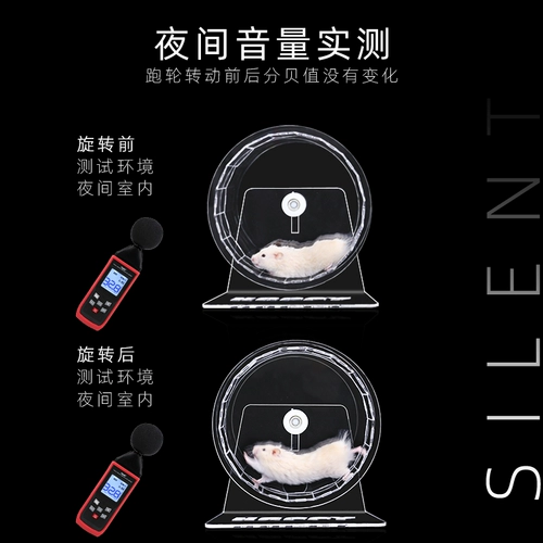 Акриловое прозрачное хомяк Прогулок тихий большой золотой шелковый медвежь